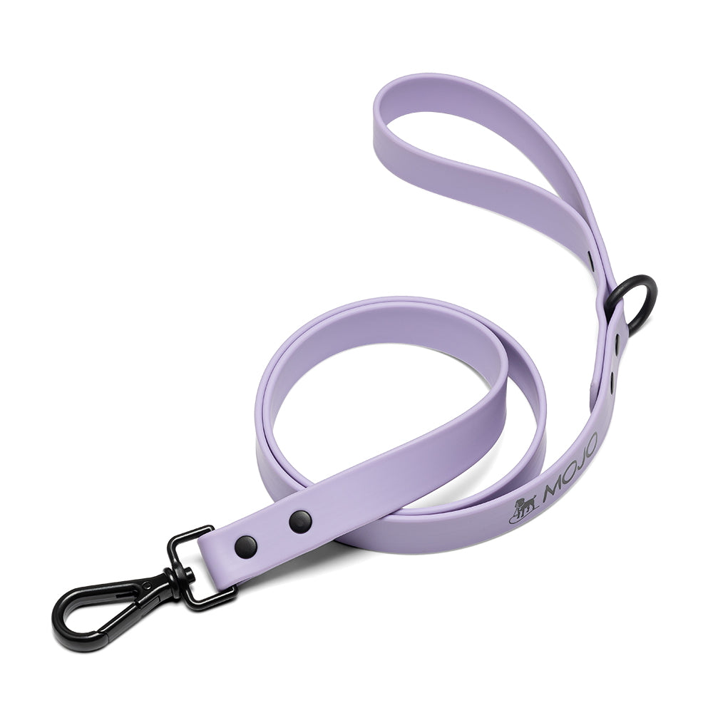 LEASHES 1.0