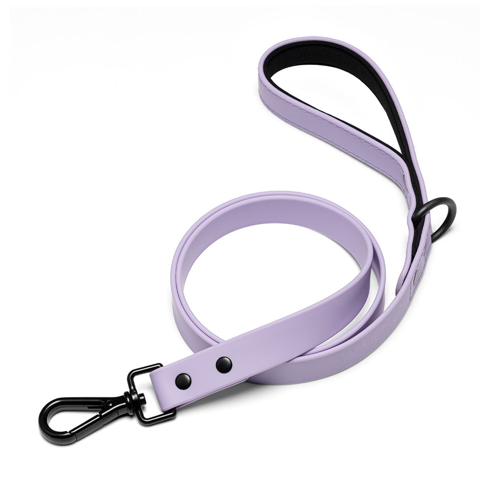 LEASHES 2.0