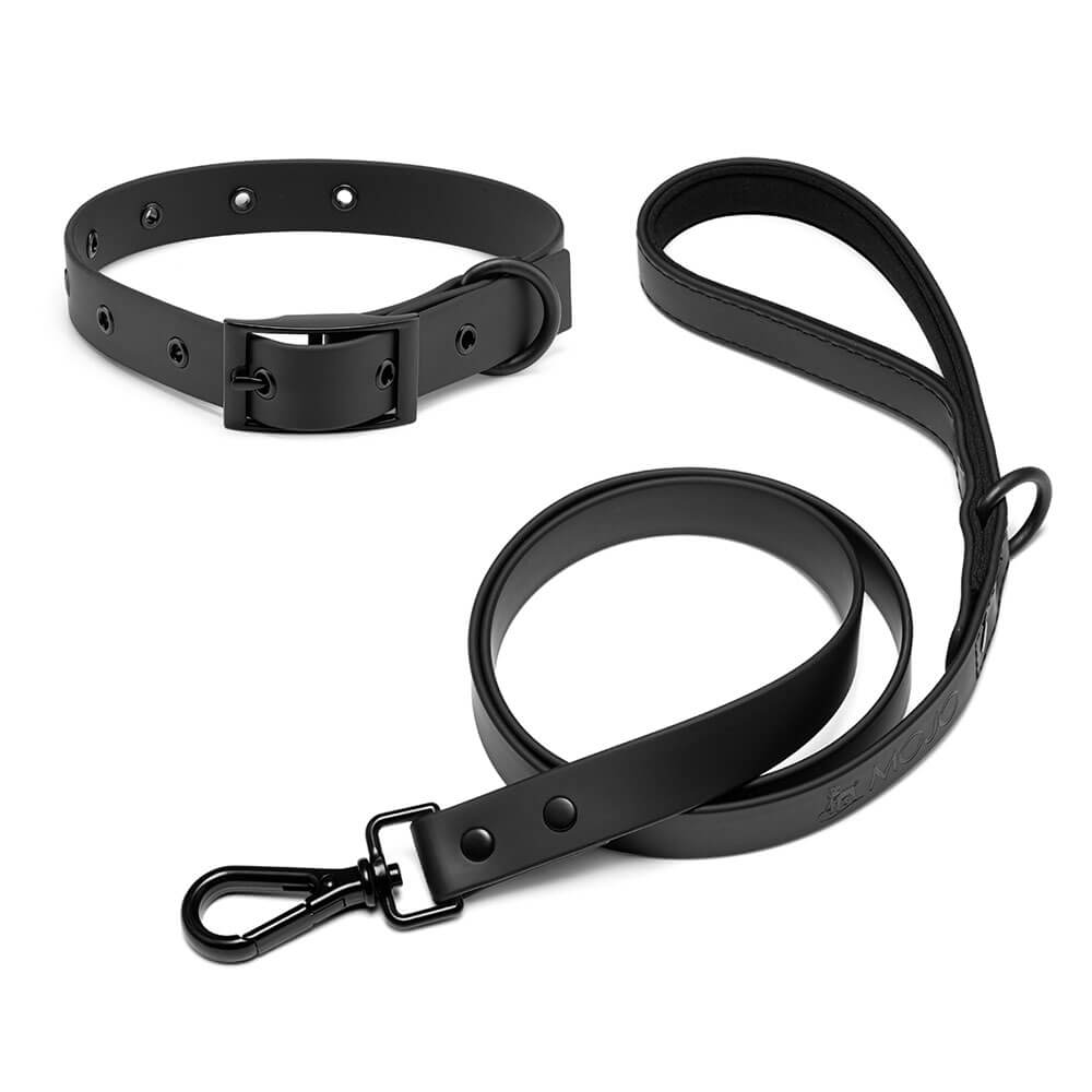 Leashes & Collars