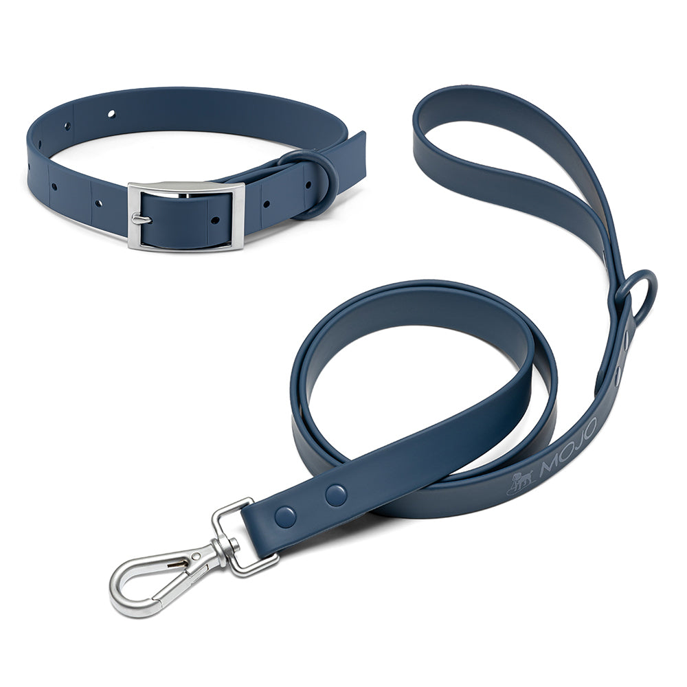 mojo blue 100% waterproof dog collar and leash set